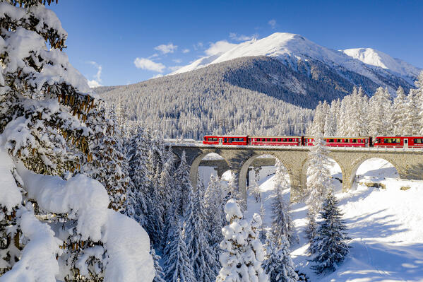 Trees covered with snow surrounding the red Bernina Express train in winter, Chapella, Graubunden canton, Engadine, Switzerland