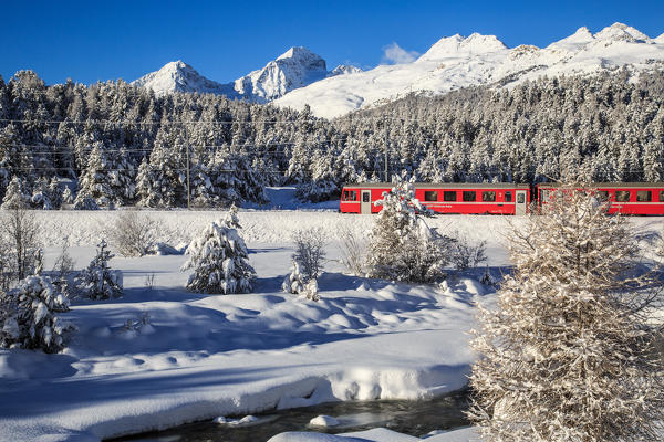 The Red Bernina train in winter in the snowy landscape of Engadina, Switzerland.
