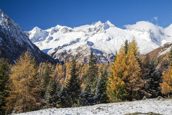 Cima di Vezzeda and Cima di Rosso covered with snow in autumn Entova Alp Malenco Valley Sondrio province Valtellina Lombardy Italy Europe