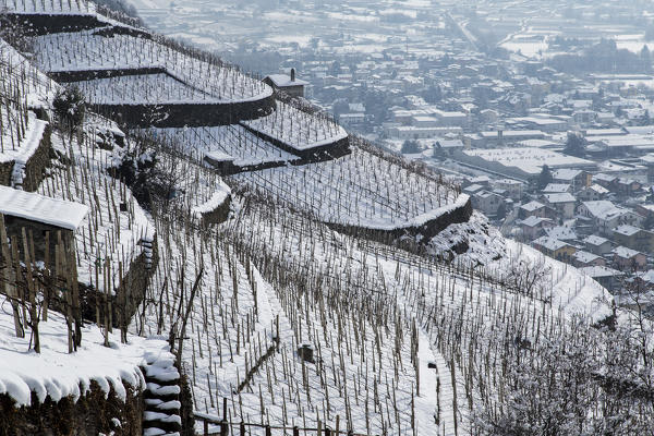 View of the vineyards in Valtellina in winter. Valtellina, Lombardy, Italy Europe