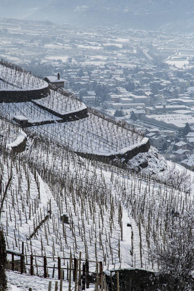 View of the vineyards in Valtellina in winter. Valtellina, Lombardy, Italy Europe