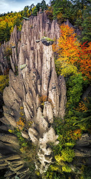 Rock pinnacles of the earth pyramids and woods view from above at fall, Longomoso, Renon/Ritten, Bolzano, South Tyrol, Italy