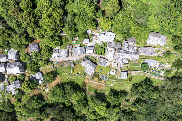 Green forest framing the stone huts in the alpine village of Savogno, aerial view, Valchiavenna, Valtellina, Lombardy, Italy