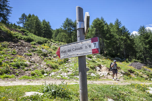 Signage for hikers on the path to Pian dei Cavalli. CHiavenna Valley. High Spluga Valley. Valtellina. Lombardy. Italy. Europe 