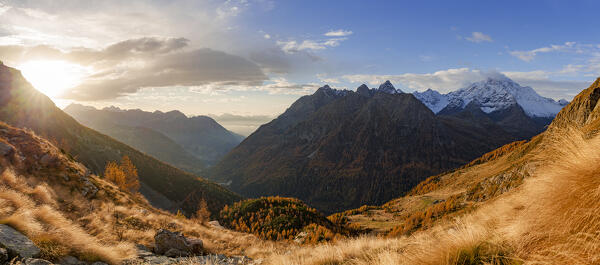 Panoramic view of  snowy mountains and colorful woods in autumn, Val Chiareggio, Valmalenco, Valtellina, Lombardy, Italy