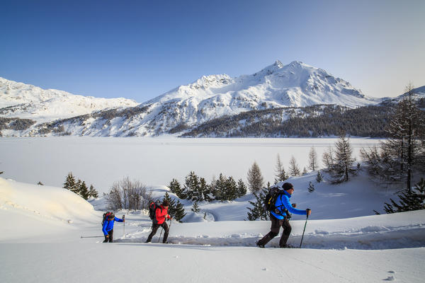 Snowshoe hikers walking close to the Maloja Pass and Piz de la Margna. Engadine. Switzerland. Europe