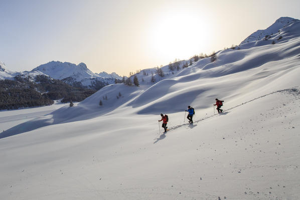 Snowshoe hikers venture for unbeaten tracks in the Engadine. Maloja Pass. Switzerland. Europe