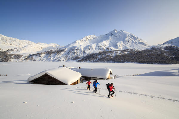 Hikers on snowshoes enjoy walking in the snow near the huts of Spluga above Maloja Pass. Canton of Graubunden. Engadine. Switzerland. Europe