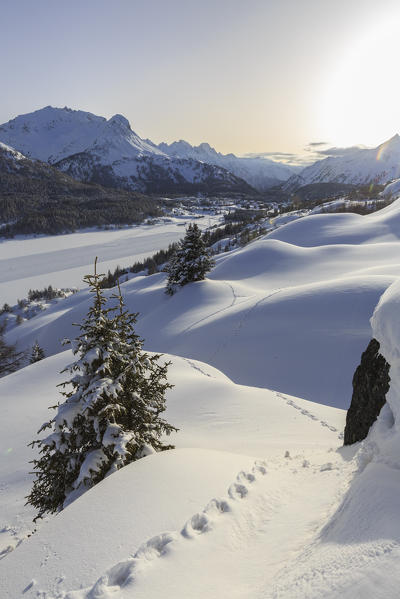 Snowshoeing footprints in deep snow after a heavy snowfall at the Maloja Pass. Canton of Graubunden. Engadine. Switzerland. Europe