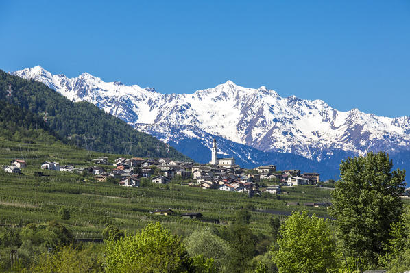 Hamlet near Grosio surrounded by apple orchards and overlooked by snowy peaks. Valtellina. Lombardy. Italy. Europe