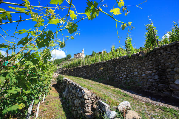 The Path of the Terraces is a hiking route that connects Tirano to Morbegno through a series of panoramic paths. Province of Sondrio. Valtellina. Lombardy. Italy. Europe