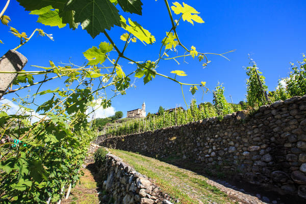 The Path of the Terraces is a hiking route that connects Tirano to Morbegno through a series of panoramic paths. Province of Sondrio. Valtellina. Lombardy. Italy. Europe