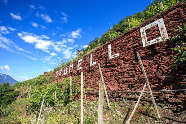 Signboard of local wine from the vineyards of Valtellina. Castle Grumello. Montagna in Valtellina. Sondrio. Lombardy. Italy. Europe