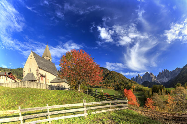 Panorama of church of St. Magdalena  immersed in the colors of autumn. In the background the Odle Mountains. Val di Funes.