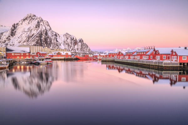 Pink sunset over the typical red houses reflected in the sea. Svollvaer Lofoten Islands Norway Europe