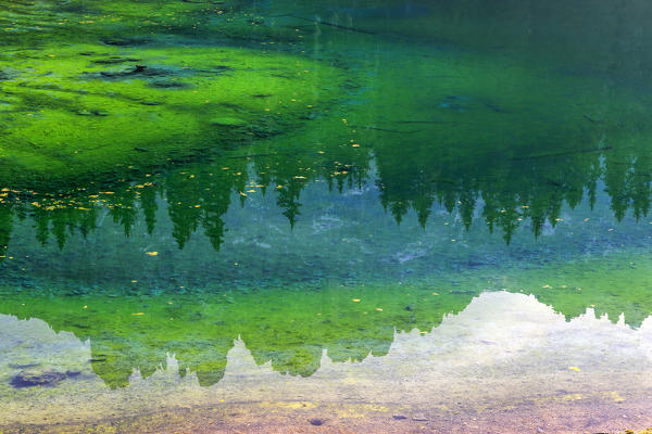 Latemar group reflected in the green waters of Lake Carezza. Ega Valley Dolomites South Tyrol Trentino Alto Adige Italy