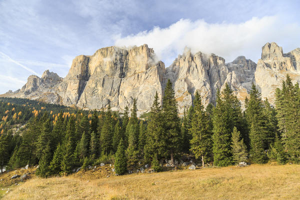 Colorful woods in autumn at Sella Pass. Dolomites Fassa Valley Trentino Alto Adige Italy Europe