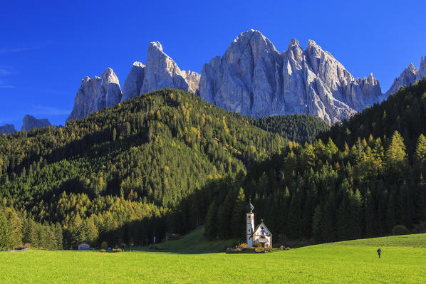 Church of Ranui surrounded by green meadows in autumn. St. Magdalena Funes Valley South Tyrol Dolomites Italy Europe