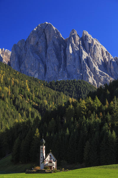 Church of Ranui surrounded by green meadows in autumn. St. Magdalena Funes Valley South Tyrol Dolomites Italy Europe