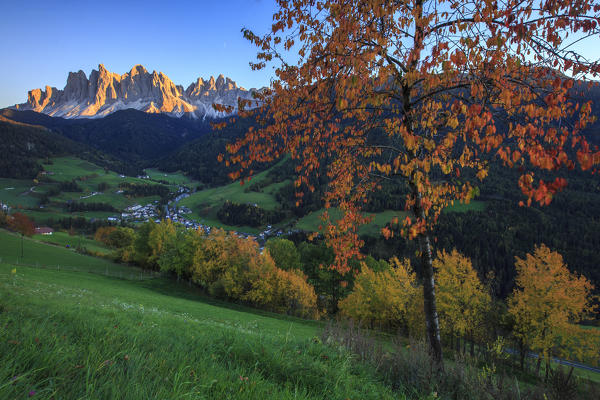 Colorful autumn trees frame the group of Odle and the village of St. Magdalena Funes Valley South Tyrol Dolomites Italy Europe