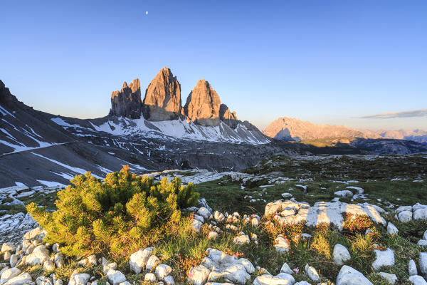 Dawn illuminates the Three Peaks of Lavaredo on a summer morning. Sesto Dolomites Trentino Alto Adige Italy Europe