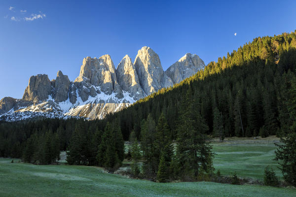 The group of Odle views from Gampen Malga at dawn. Funes Valley. Dolomites South Tyrol Italy Europe