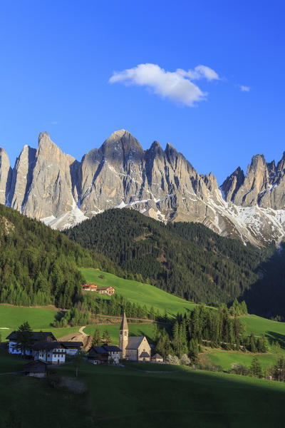 The village of St. Magdalene surrounded by green meadows at the foot of the Odle Funes Valley South Tyrol Dolomites Italy Europe