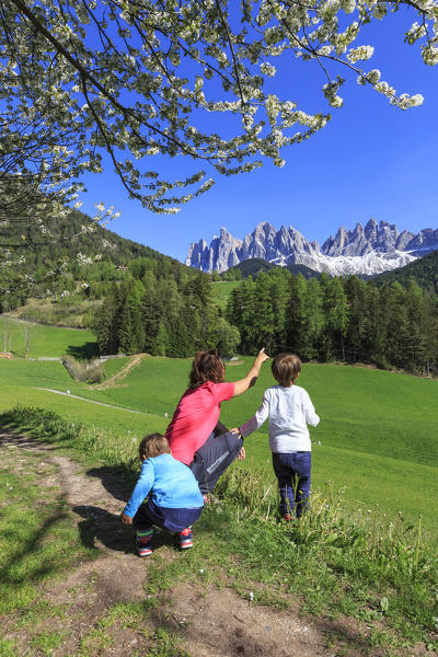 A family on green meadows admires the  Odle Group Funes Valley South Tyrol Dolomites Italy Europe