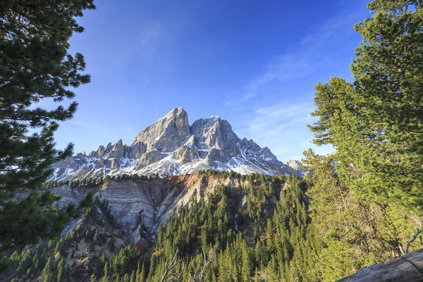 Sass de Putia in background enriched by green woods. Passo delle Erbe. Puez Odle South Tyrol Dolomites Italy Europe