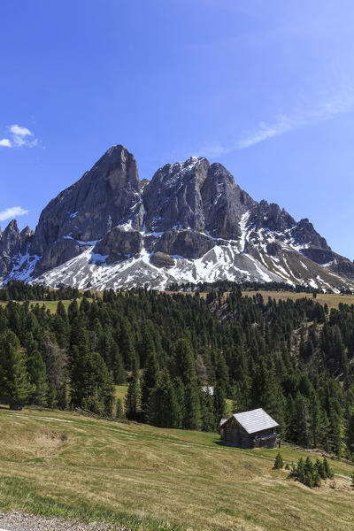 Sass de Putia in background enriched by green woods. Passo delle Erbe. Puez Odle South Tyrol Dolomites Italy Europe