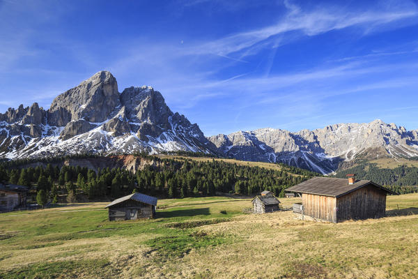 Sass de Putia in background enriched by green meadows. Passo delle Erbe. Puez Odle South Tyrol Dolomites Italy Europe