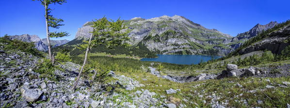 Panoramic view of Lake  Oeschinensee Bernese Oberland Kandersteg Canton of Bern Switzerland Europe