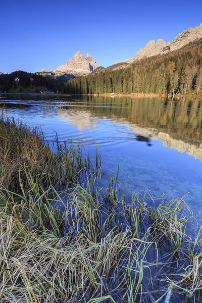 The Three Peaks of Lavaredo and woods are reflected in Lake Misurina Auronzo of Cadore Veneto Italy Europe