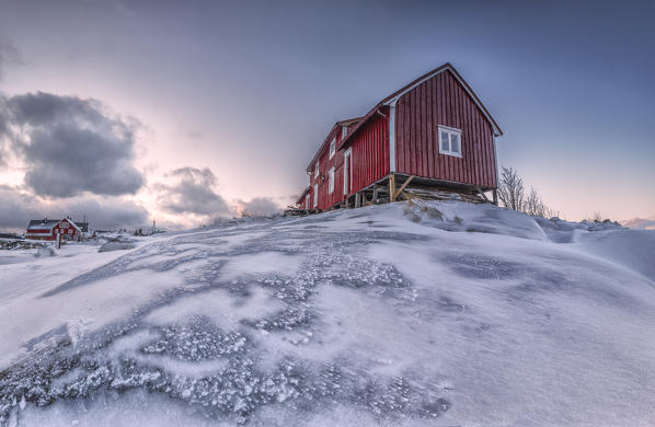 Pink sky on the typical red houses of fishermen called rorbu Henningsvaer Lofoten Islands Northern Norway Europe