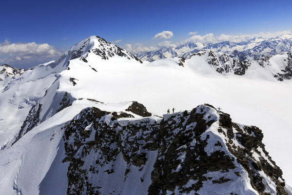 Aerial view of alpine skiers on Mount Dosegu Stelvio National Park Valtellina Valfurva Lombardy Italy Europe