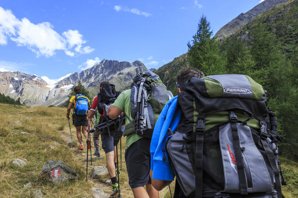A group of hikers walking in the woods before reaching the peaks Minor Valley Livigno High Valtellina Lombardy Italy Europe