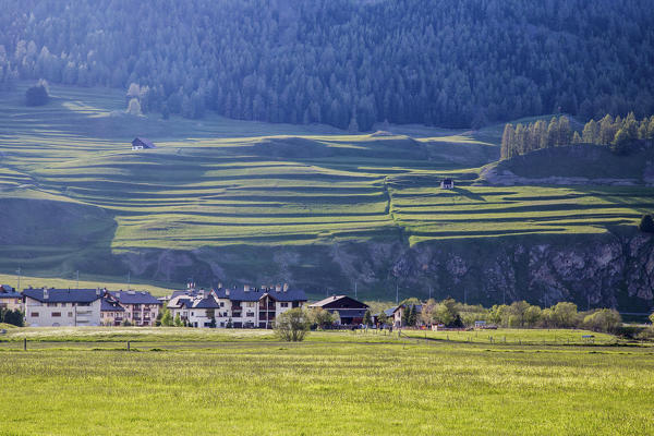 Green meadows and woods frame the village of Silvaplana Canton of Graubünden Maloja Engadine Switzerland Europe