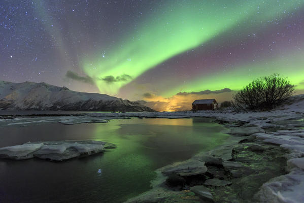 The Northern Lights illuminates the icy landscape in Svensby Lyngen Alps Tromsø Lapland Norway Europe