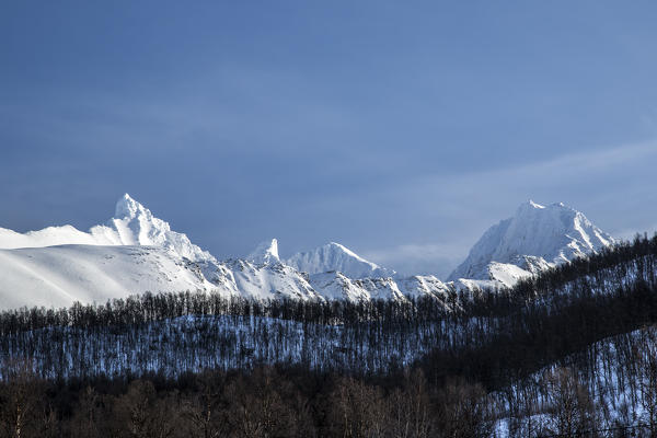 Blue sky and snowy peaks around woods Lyngen Alps Tromsø Lapland Norway Europe