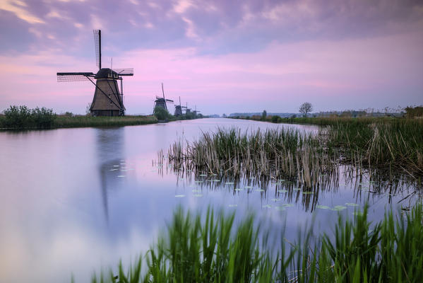 Sky is tinged with purple at dawn on the windmills reflected in the canal Kinderdijk Rotterdam South Holland Netherland Europe