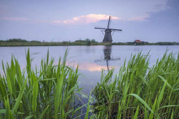 Green grass frames the windmill reflected in the canal at dusk Kinderdijk Rotterdam South Holland Netherlands Europe