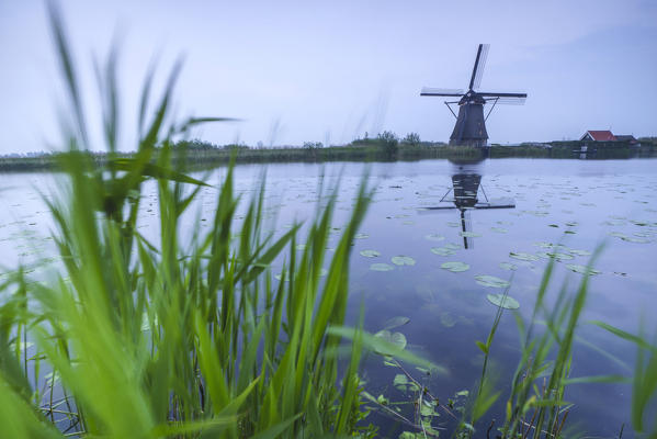 Green grass frames the windmill reflected in the canal at dusk Kinderdijk Rotterdam South Holland Netherlands Europe