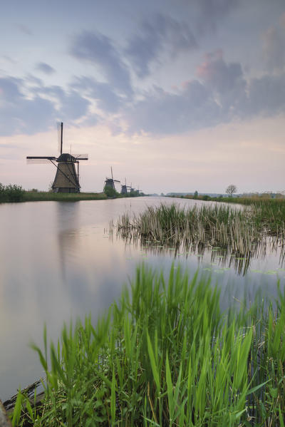 Green grass frames the windmills reflected in the canal at dawn Kinderdijk Rotterdam South Holland Netherlands Europe