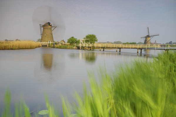 Green grass frames the windmills reflected in the canal Kinderdijk Rotterdam South Holland Netherlands Europe