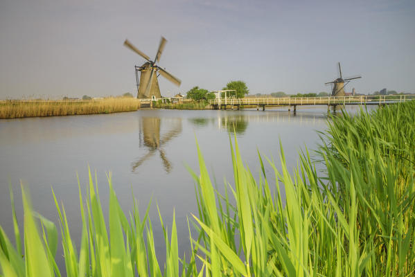 Green grass frames the windmills reflected in the canal Kinderdijk Rotterdam South Holland Netherlands Europe