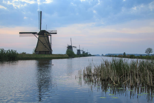 Blue sky and pink clouds on the windmills reflected in the canal at dawn Kinderdijk Rotterdam South Holland Netherlands Europe