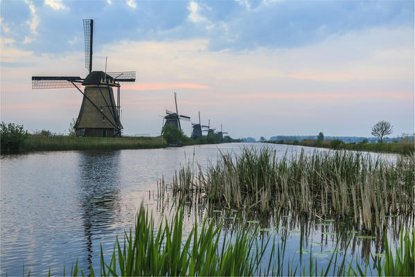 Green grass frames the windmills reflected in the canal at dawn Kinderdijk Rotterdam South Holland Netherlands Europe