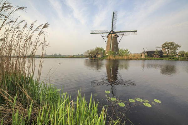 Green grass frames the windmills reflected in the canal Kinderdijk Rotterdam South Holland Netherlands Europe