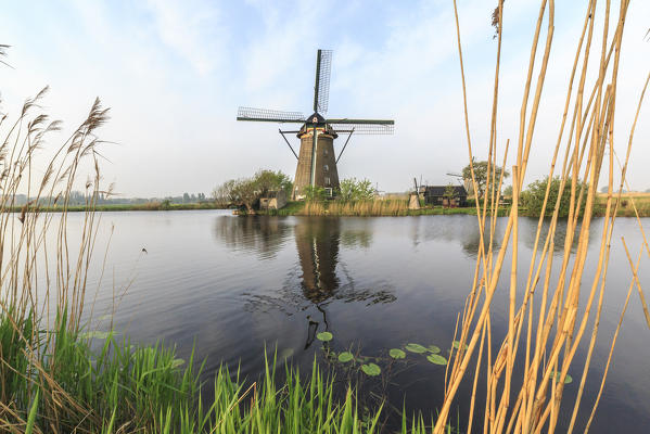 Green grass and reedbeds  frame the windmills reflected in the canal  Kinderdijk Rotterdam South Holland Netherlands Europe