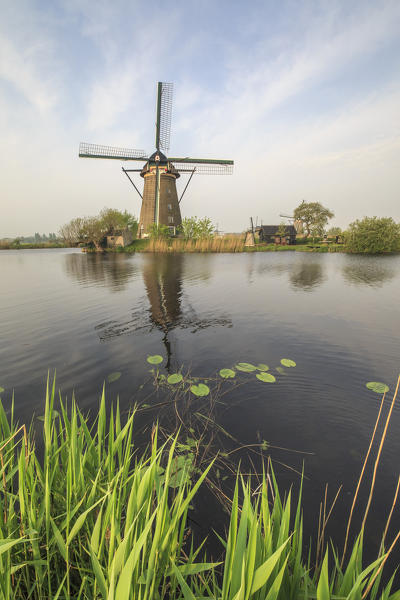 Green grass frames the windmills reflected in the canal Kinderdijk Rotterdam South Holland Netherlands Europe